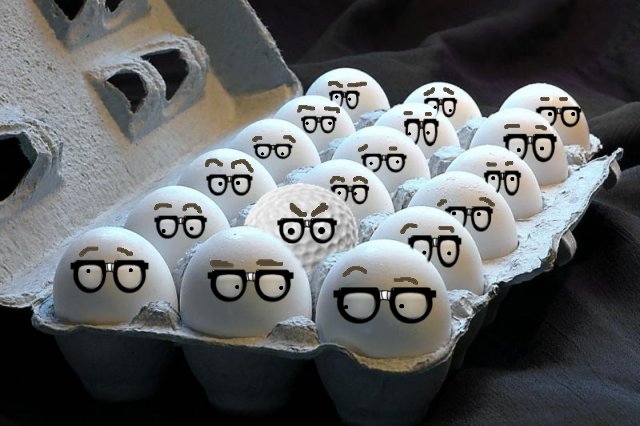 By certified su from The Atherton Tablelands, Queensland , Australia (Integration) [CC-BY-2.0 (http://creativecommons.org/licenses/by/2.0) or CC-BY-2.0 (http://creativecommons.org/licenses/by/2.0)], via Wikimedia Commons