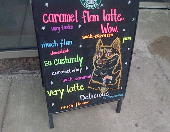 starbucks-doge-550