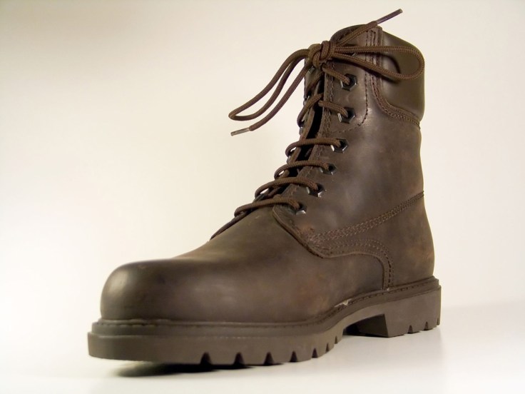 Credit: Carlos Paes, 2005, Wikimedia Commons